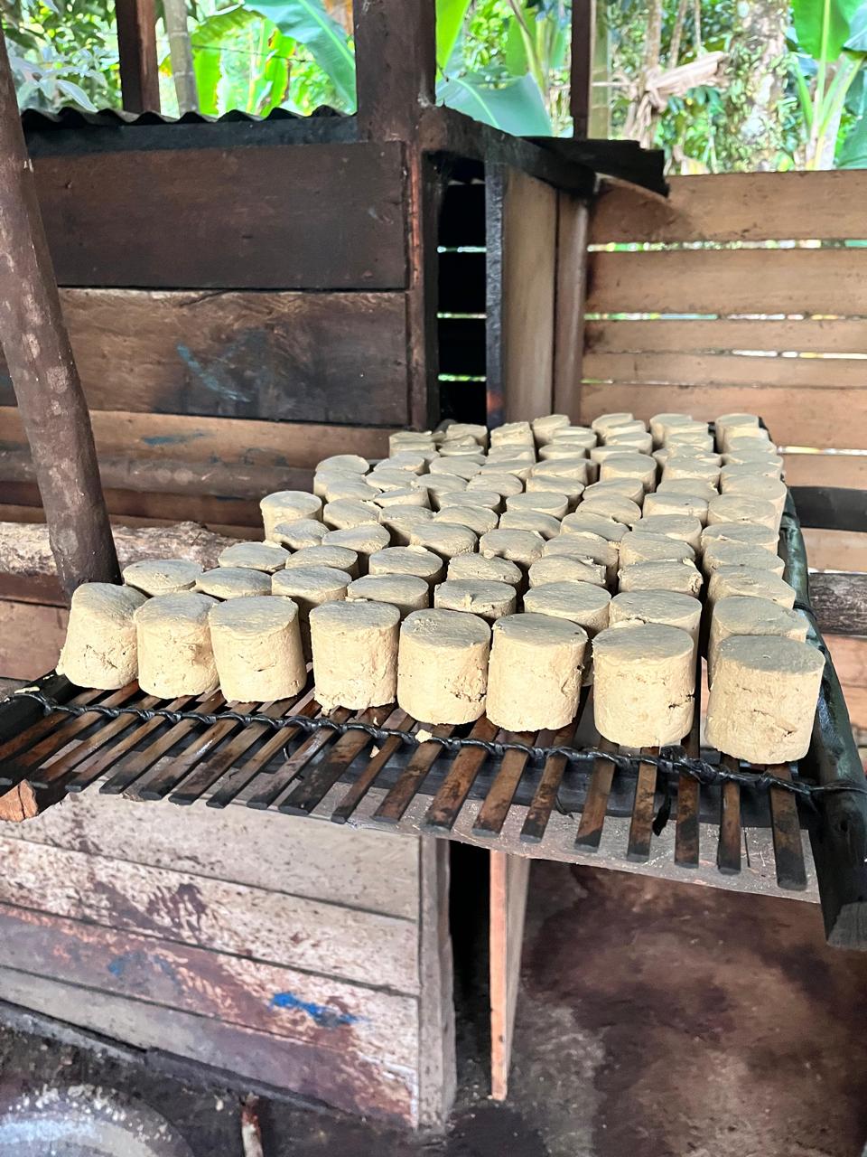Gambir Extract